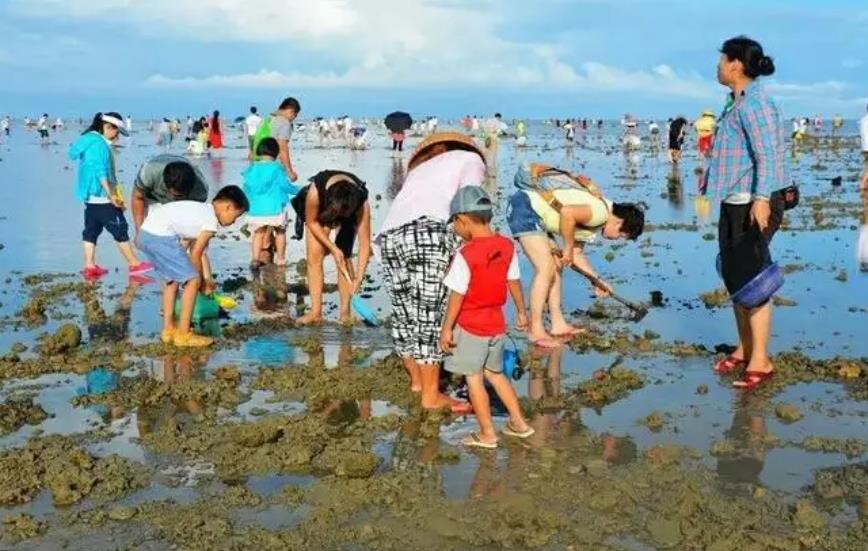 8月15日福建东山岛赶海潮汐表