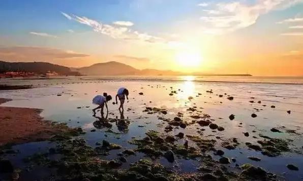 8月15日平潭岛赶海潮汐表